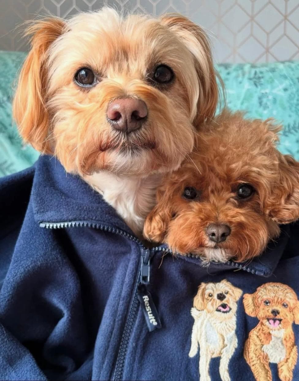 Embroidered Pet Portrait Polar Fleece Full-Zip Jacket thumbnail 6