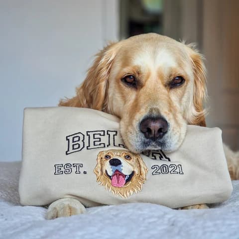 Custom embroidered pet portrait on hoodie