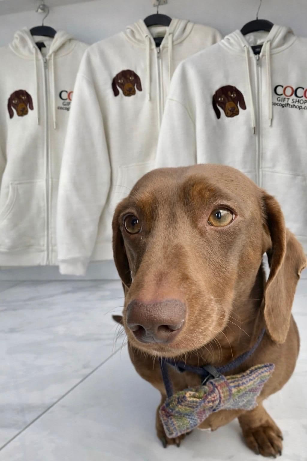 The Magic of Transformation