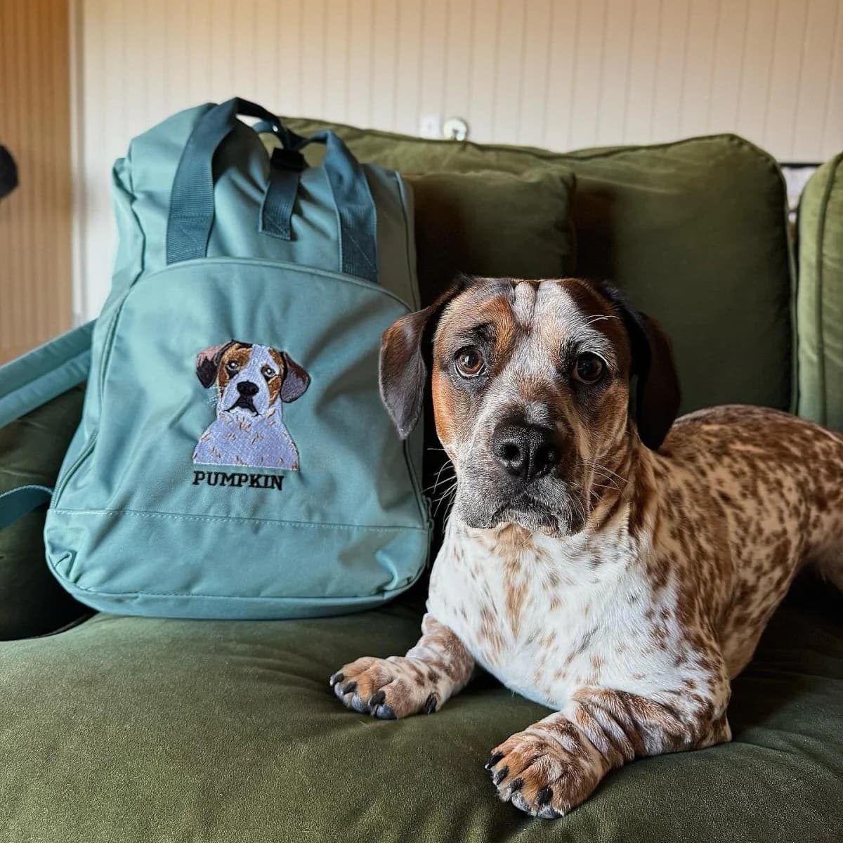 Recycled Large Embroidered Pet Portrait Backpack
